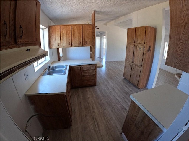 kitchen featuring a textured ceiling, sink, and light hardwood / wood-style flooring