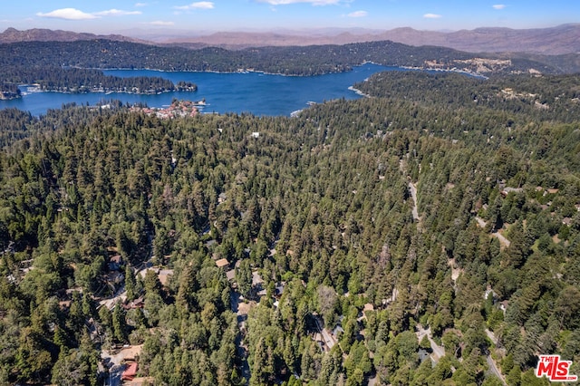 drone / aerial view with a water and mountain view