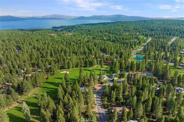 Listing photo 3 for 181 Highwood Cir, Lake Almanor Peninsula CA 96137