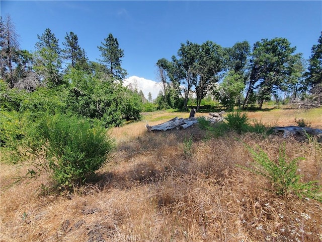 8819 Skyway, Paradise, CA 95969
