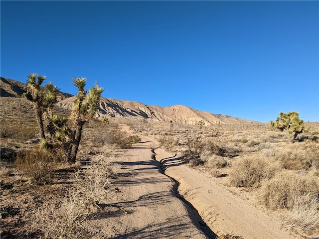 0 0th Rd, Tehachapi CA, 93307 land for sale