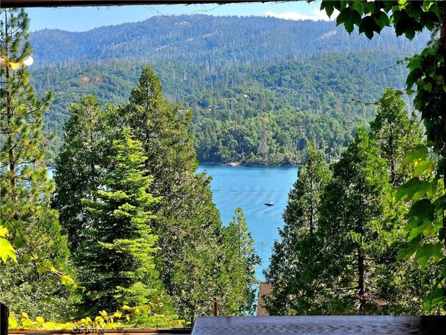 water view featuring a mountain view