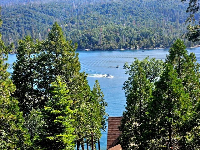 view of water feature