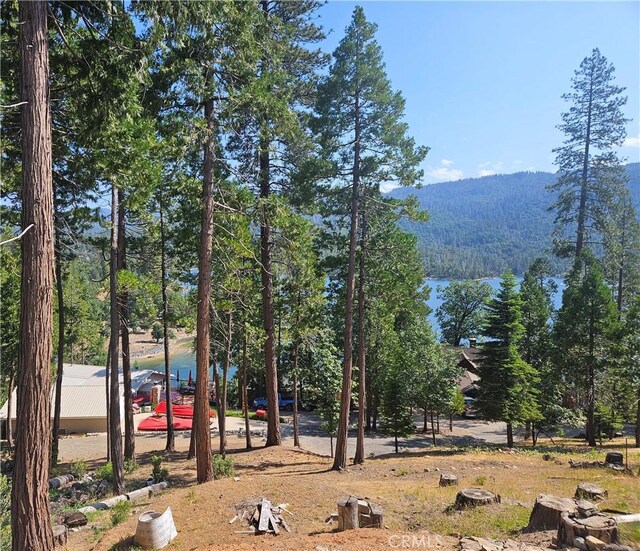 property view of mountains with a water view