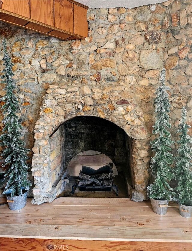 details featuring a fireplace