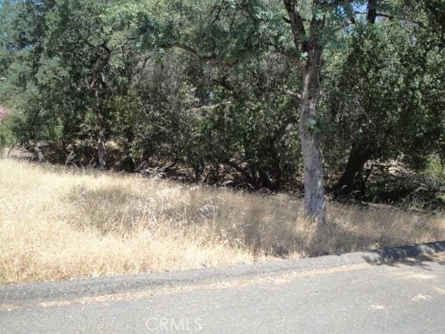 Listing photo 2 for 586 Silver Leaf Dr, Oroville CA 95966