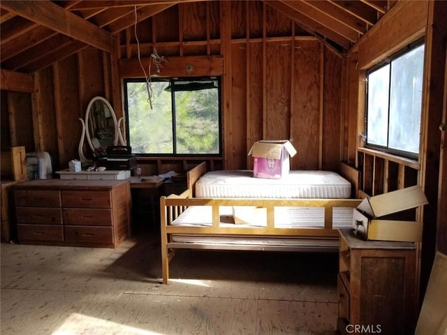 miscellaneous room with vaulted ceiling