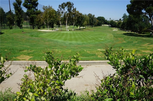 view of community featuring a lawn