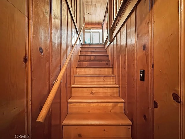 staircase featuring wooden walls