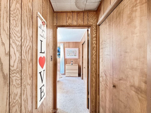 hall with wood walls and carpet floors