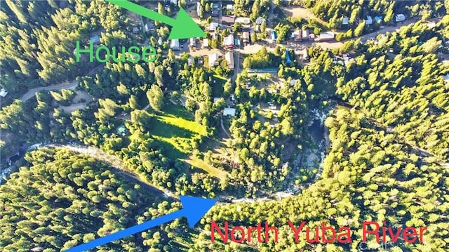 211 Main St, Sierra City, CA 96125 - photo 59