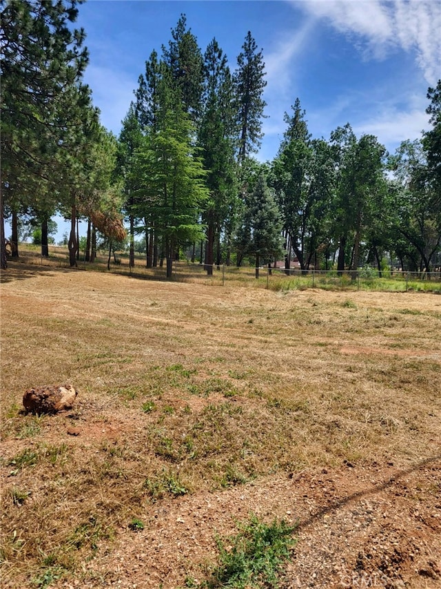 1610 Sawpeck Way, Paradise, CA 95969 - photo 4