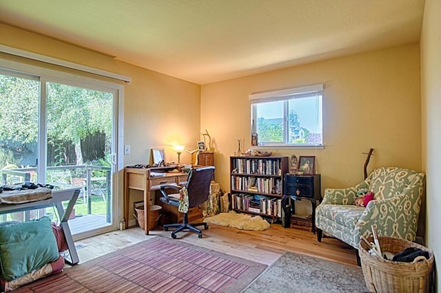 office space with a healthy amount of sunlight and light hardwood / wood-style flooring