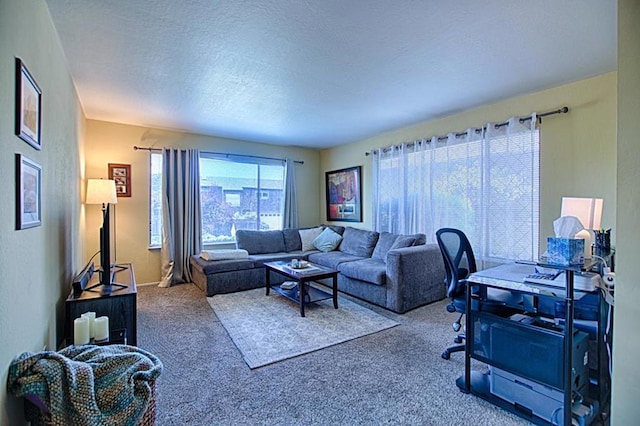 living room with a textured ceiling and carpet flooring