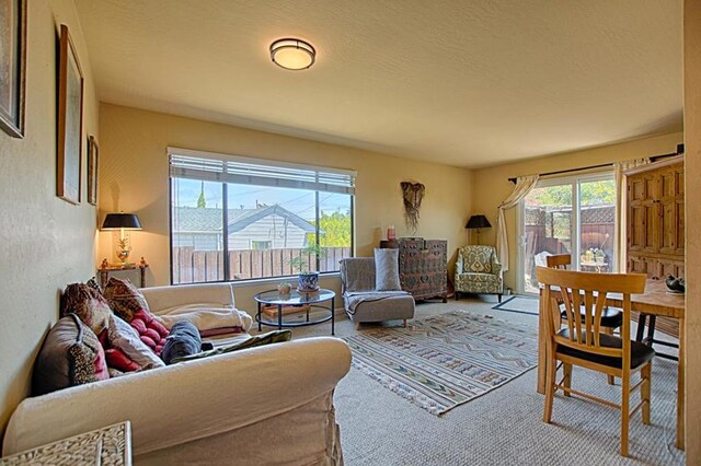 living room with light carpet