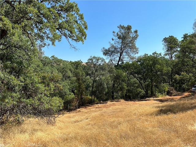 0 Rich Gulch Rd, Yankee Hill CA, 95965 land for sale