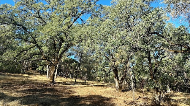 Listing photo 2 for 0 Rich Gulch Rd, Yankee Hill CA 95965