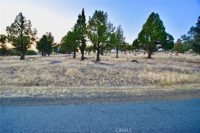 Listing photo 2 for 0 Lake Shastina Dr, Weed CA 96094