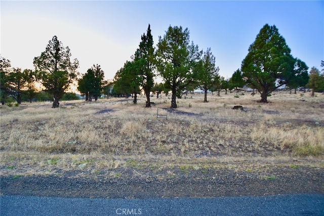 Listing photo 3 for 0 Lake Shastina Dr, Weed CA 96094