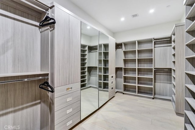 spacious closet with light wood-type flooring