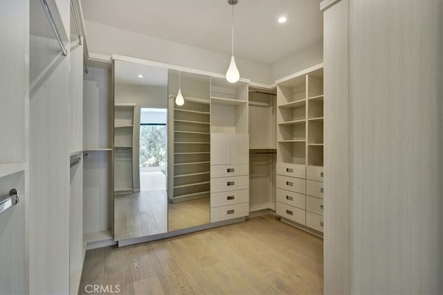 spacious closet with light hardwood / wood-style flooring