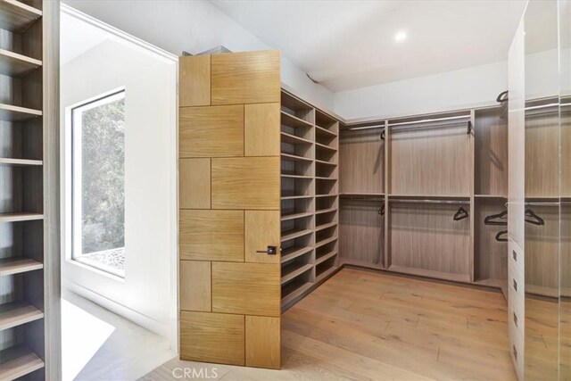 spacious closet featuring light wood-type flooring