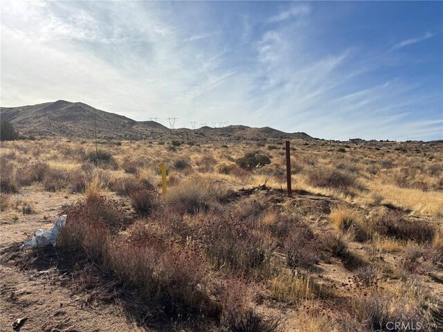 20 Luna Mountain Rd, Apple Valley, CA 92308 - photo 4