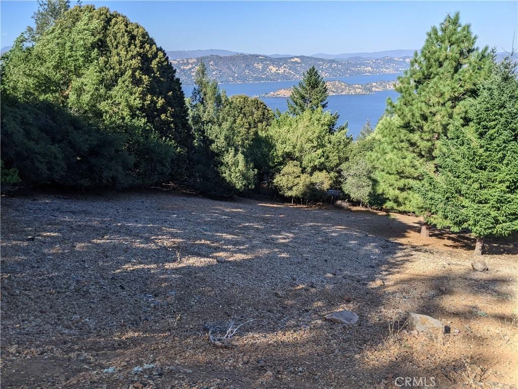 8196 Broadview Dr, Kelseyville, CA 95451 - photo 3
