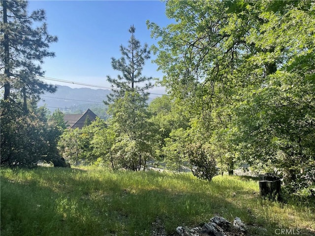 Listing photo 2 for 0 Banff Dr, Lake Arrowhead CA 92352