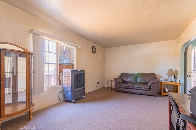 carpeted living room with a textured ceiling