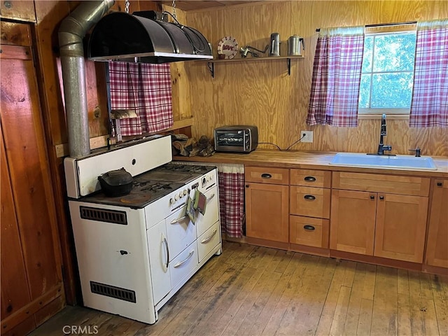 kitchen with wood-type flooring, range hood, and sink