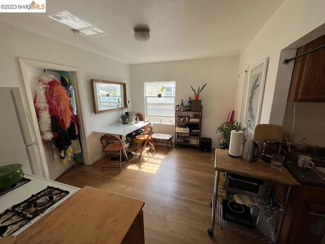 interior space with light wood-type flooring