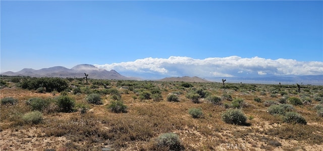 0 10th St E, Mojave CA, 93501 land for sale