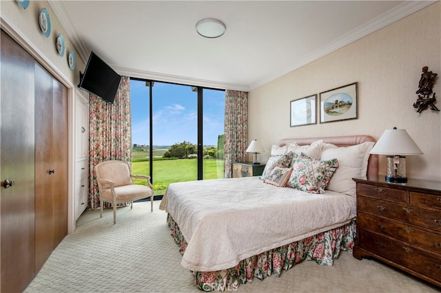 carpeted bedroom with a wall of windows, a closet, ornamental molding, and access to outside