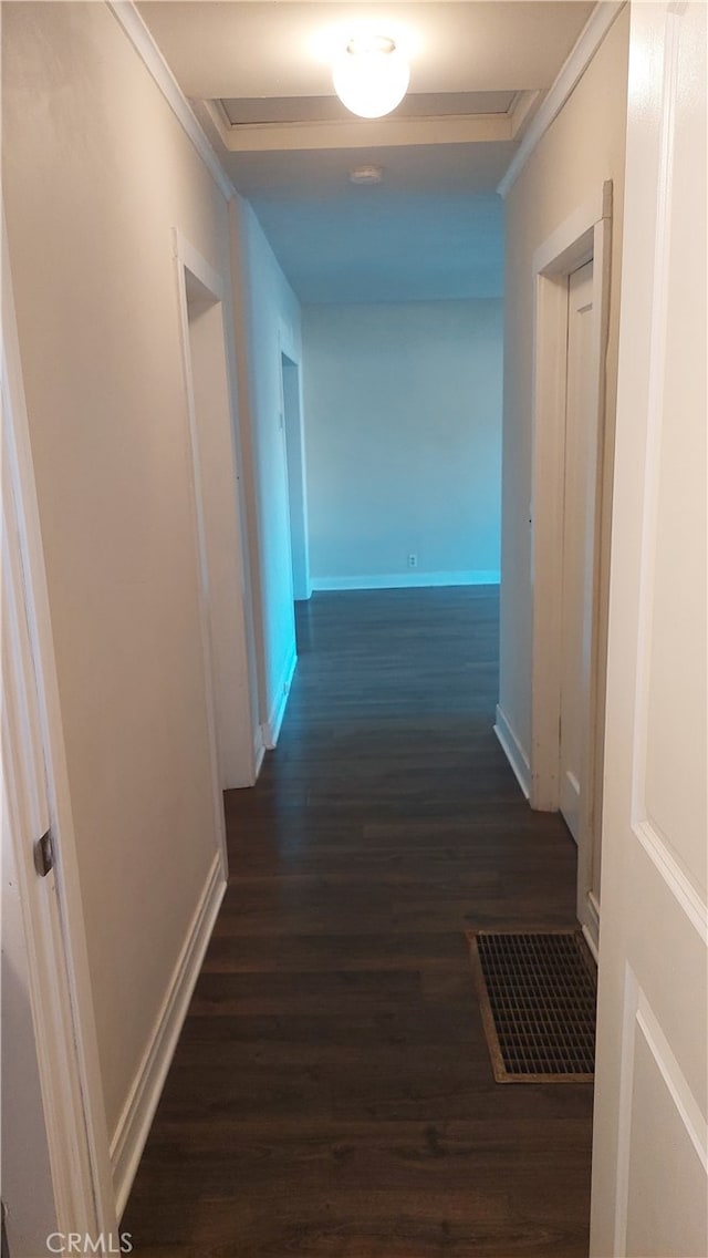 hallway featuring dark wood-type flooring