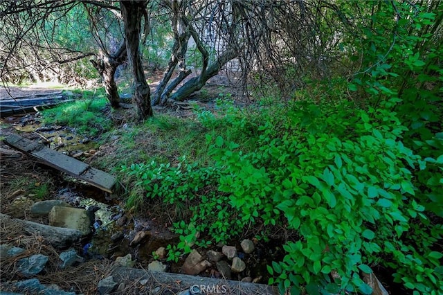 view of nature