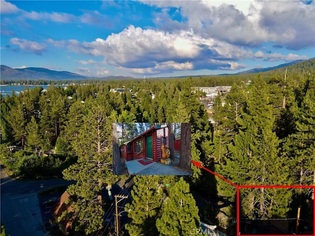 birds eye view of property with a mountain view