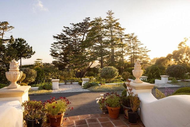 view of home's community featuring a patio