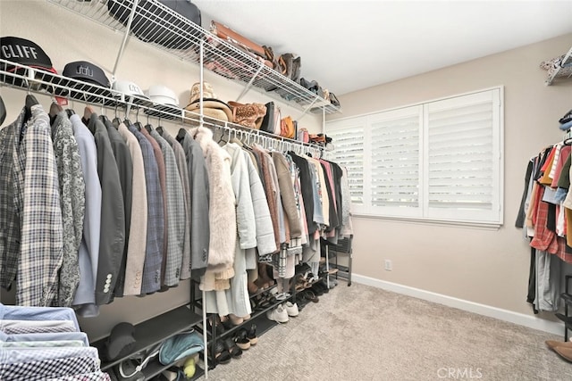 spacious closet featuring light carpet