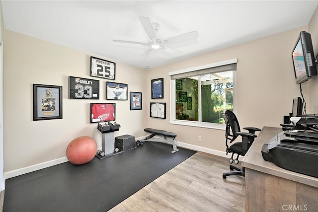 office featuring ceiling fan and light hardwood / wood-style flooring