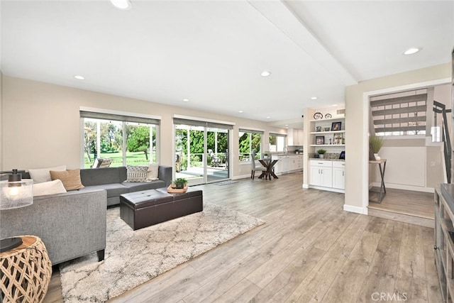 living room with a wealth of natural light and light hardwood / wood-style floors