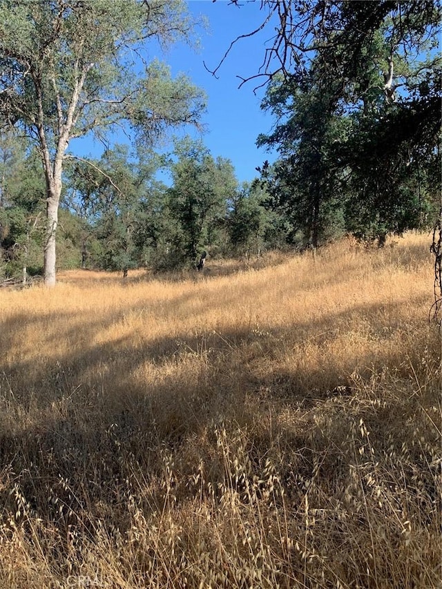 0 Blade Creek Rd, Mariposa CA, 95338 land for sale