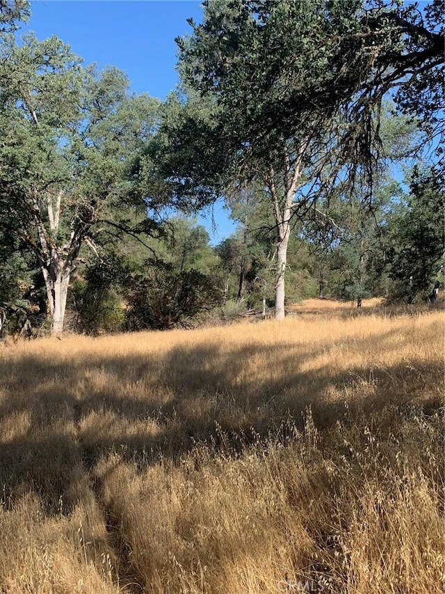 Listing photo 3 for 0 Blade Creek Rd, Mariposa CA 95338