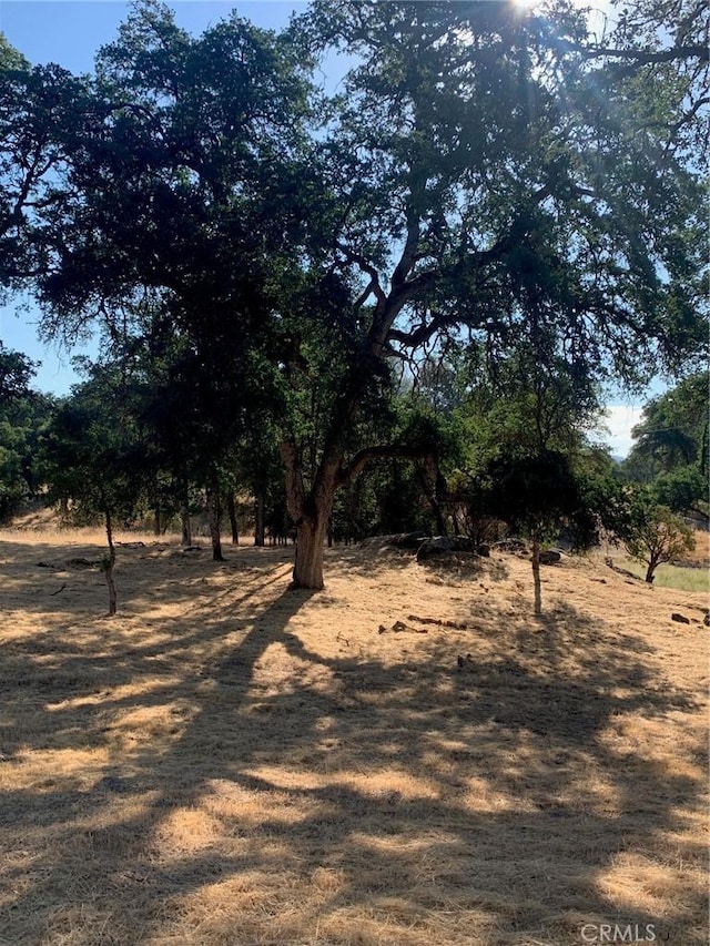 view of landscape