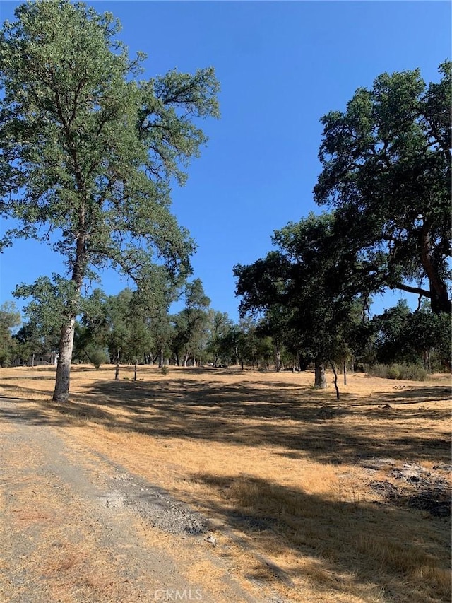 view of yard with a rural view