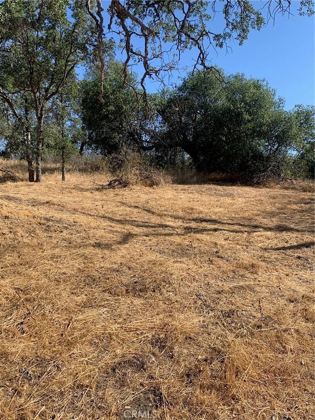 view of landscape with a rural view