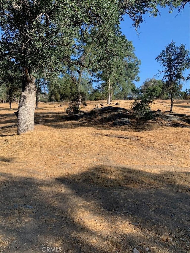 view of yard featuring a rural view