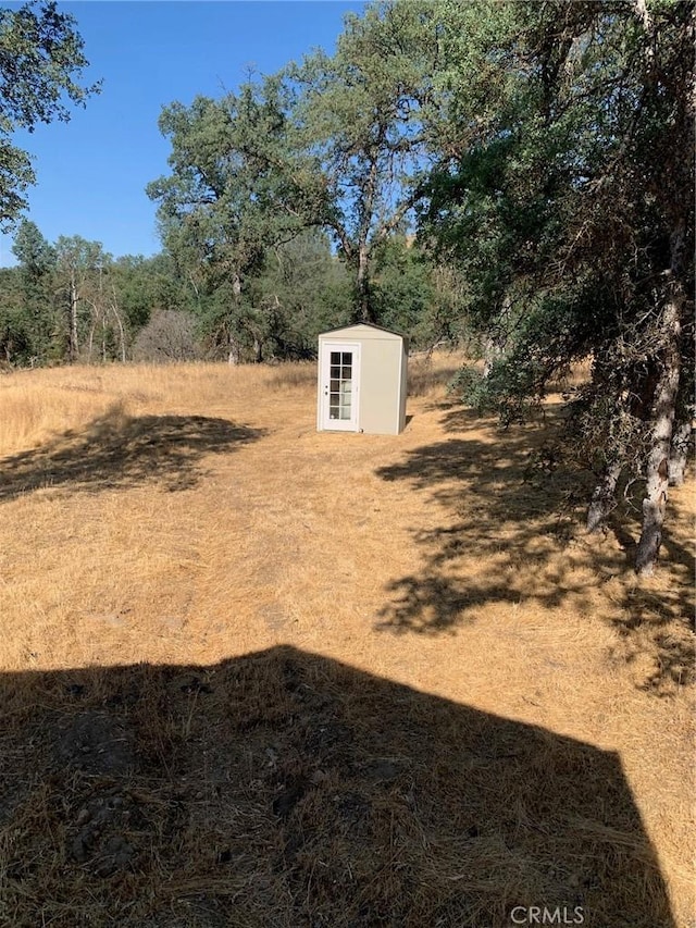 view of yard featuring a shed