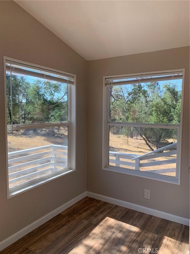 unfurnished room with vaulted ceiling, dark wood-type flooring, and plenty of natural light