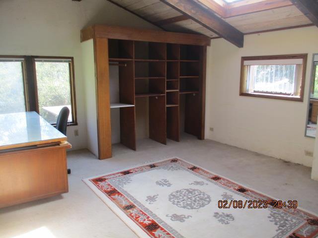 unfurnished office with plenty of natural light, light colored carpet, and wooden ceiling